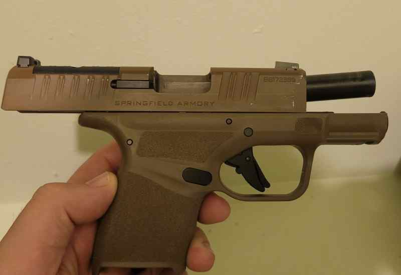  Hellcat, Ruger LCP max for sale/trade