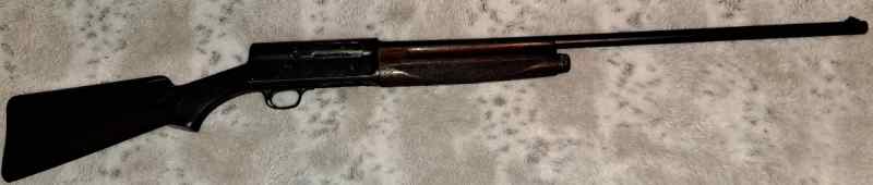 Savage Upland Semi-Auto 16 gauge