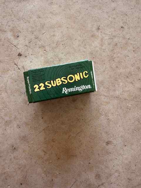Remington subsonic 