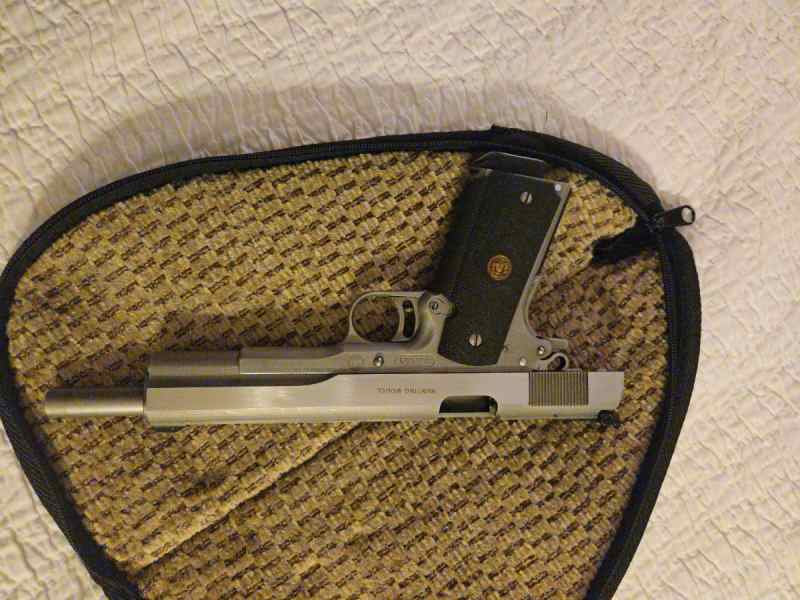 AMT JAVELINA 10MM LONGSLIDE 