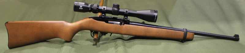Ruger 10/22