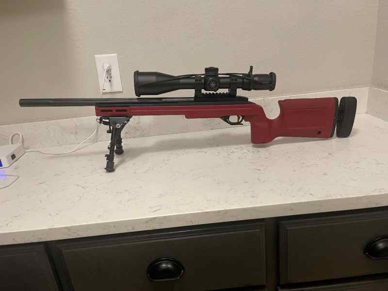 WTT/WTS Ruger 10/22 PRS style rifle