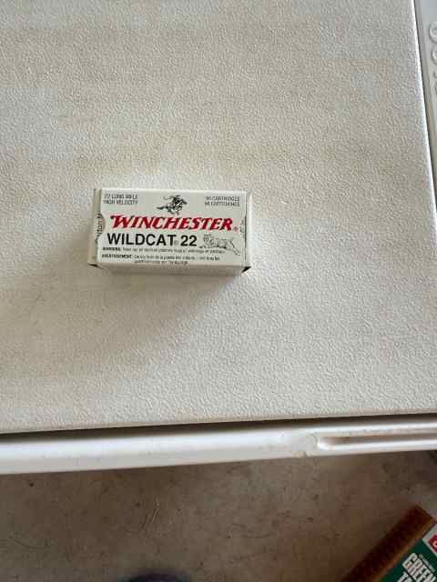 Winchester wildcat high vel