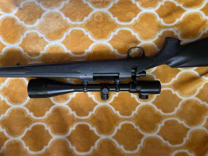 Remington 700 30-06