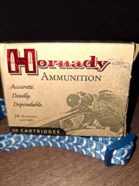 Hornady Ammunition 20 Rounds