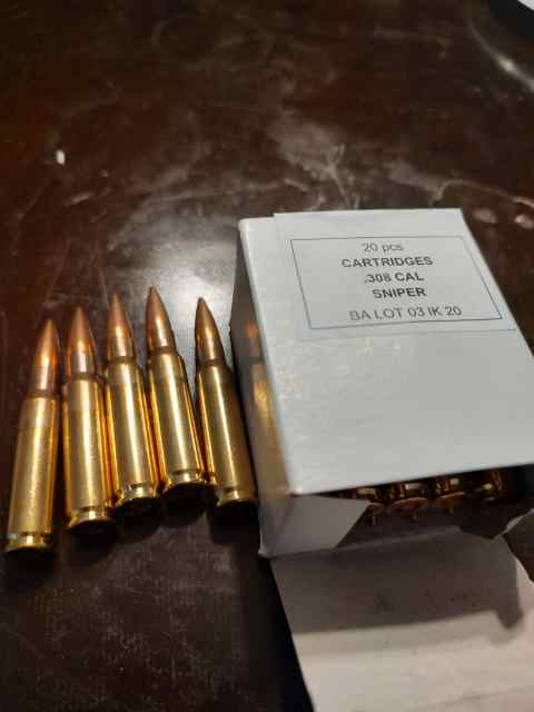 .308 sniper ammo