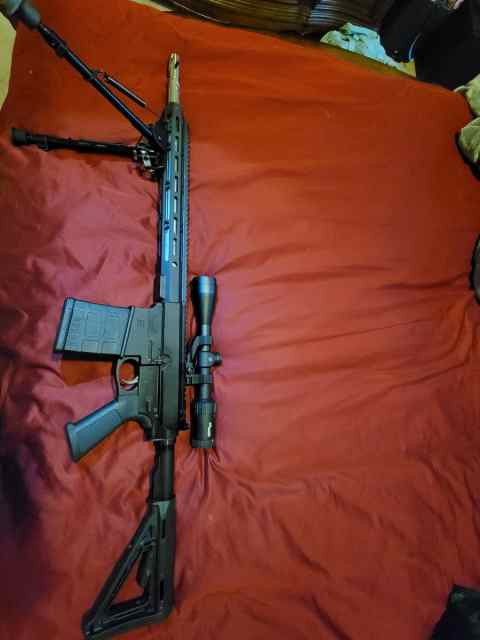gun 2.jpg