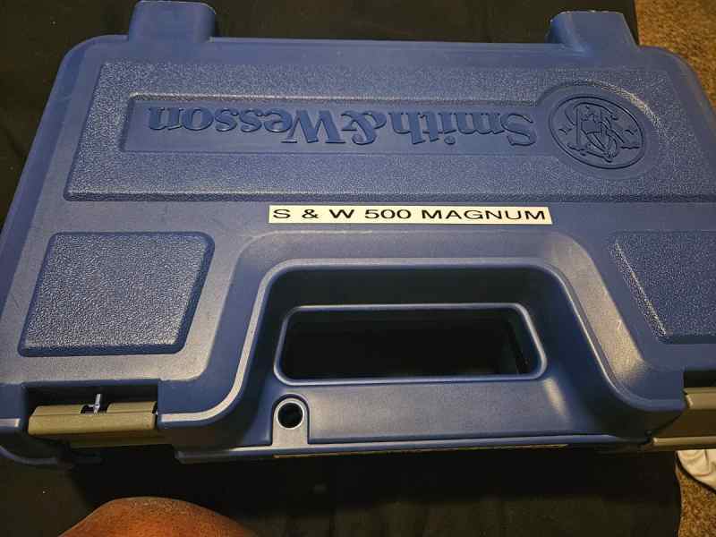 9862602.jpg