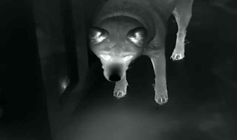 IMG_0899.jpeg