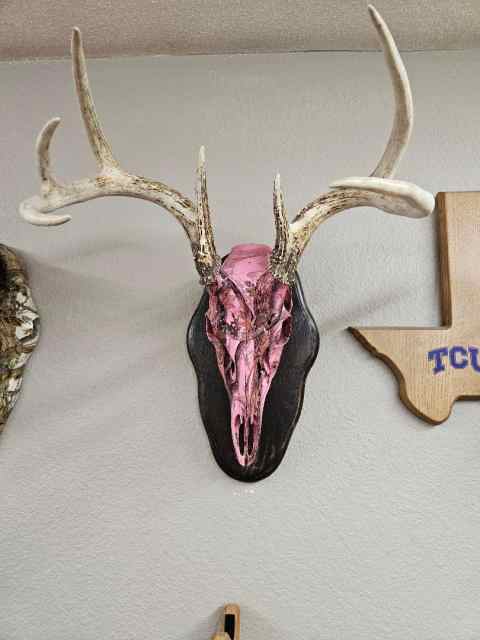 Pink Snow Blind Skull.jpg