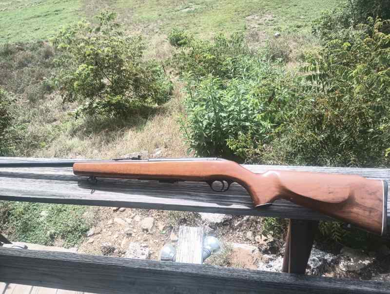 22 wmr rifle  