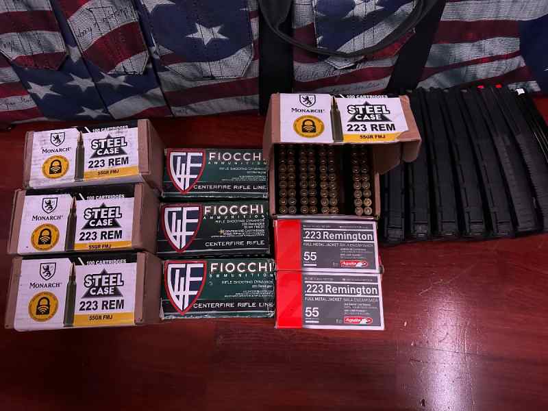223/556 Ammo &amp; Mag Package 