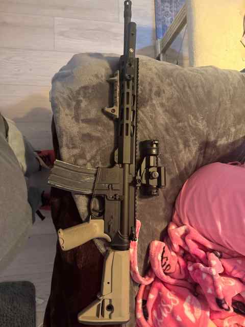 Ruger AR-556 .223/5.56 - Vortex Optic, Upgrades