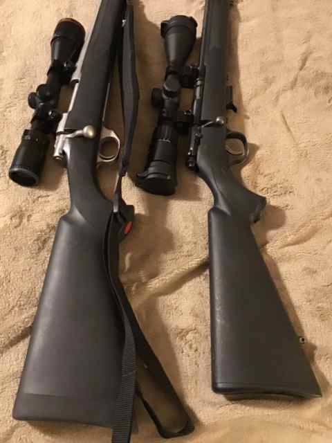 Howa 1500 Stainless Hogue 204 Ruger