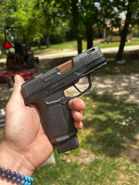 P365 SAS custom 