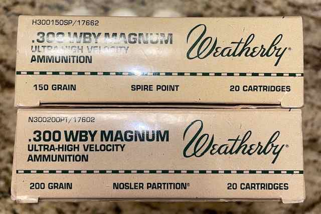 300 Weatherby Mag