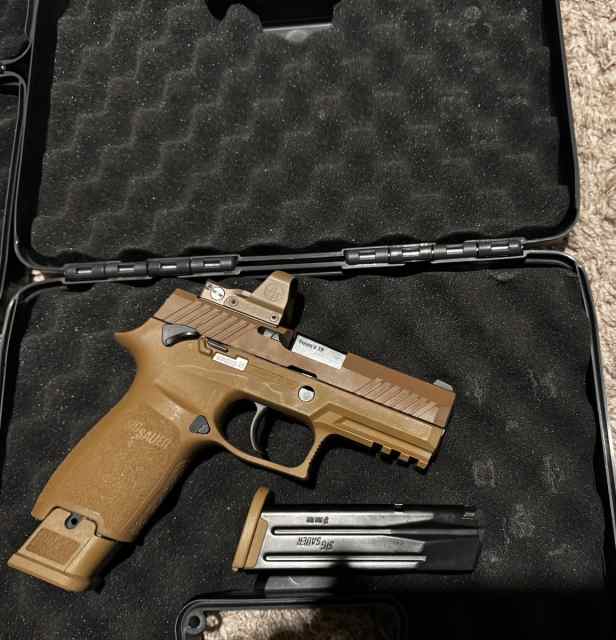Sig Sauer M18 delta