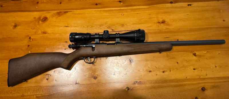 Savage .17 HMR 