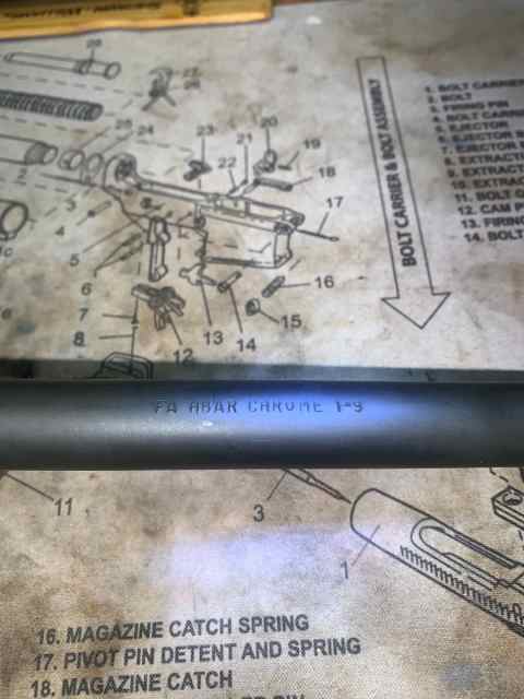 fa15-9.jpg