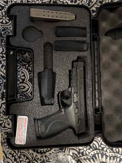 Smith &amp; Wesson M&amp;P 2.0 10mm