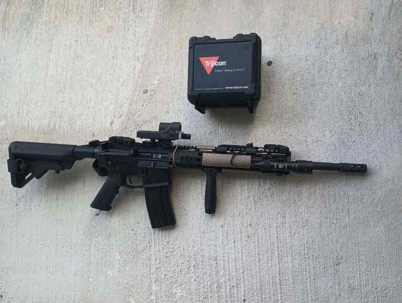 Areo AR-15 w/Trijicon RX01 and Protac Light