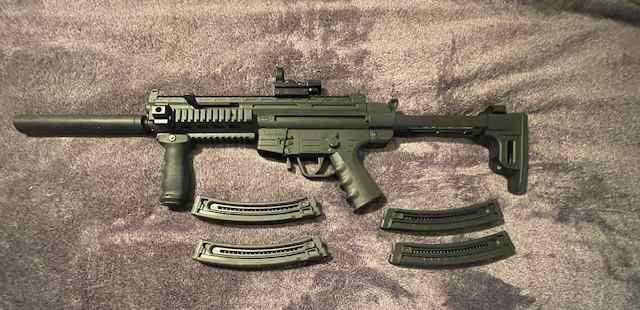 American Tactical 22 LR AR style rifle