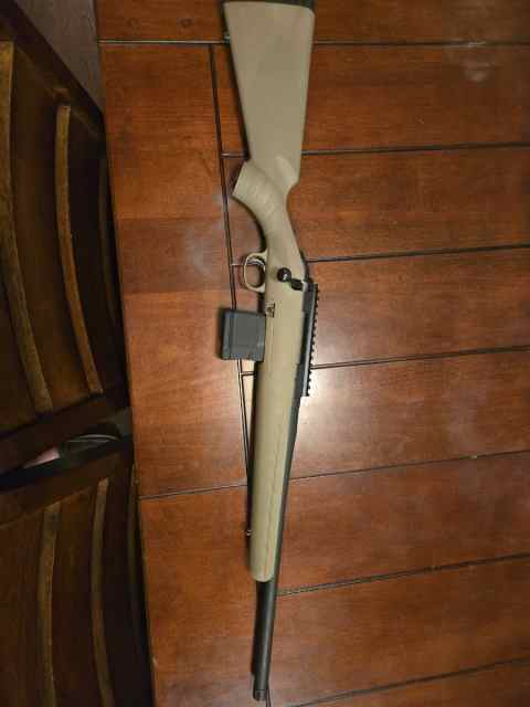 Ruger American 300bo