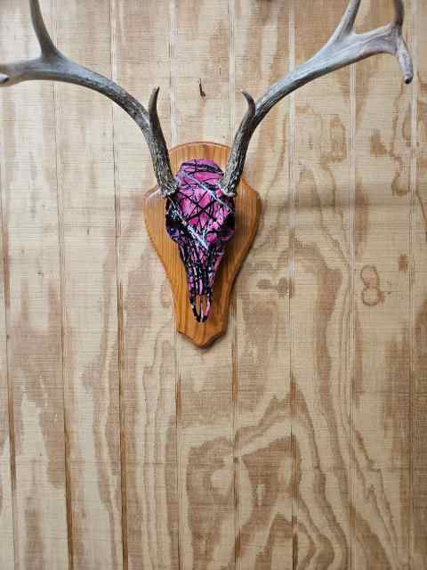 Pink Skulls for Sale