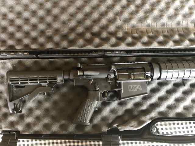 S&amp;W M&amp;P 10 (AR-10) in 308 WIN