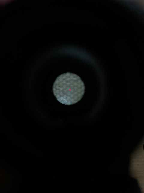 IMG_1195.jpeg