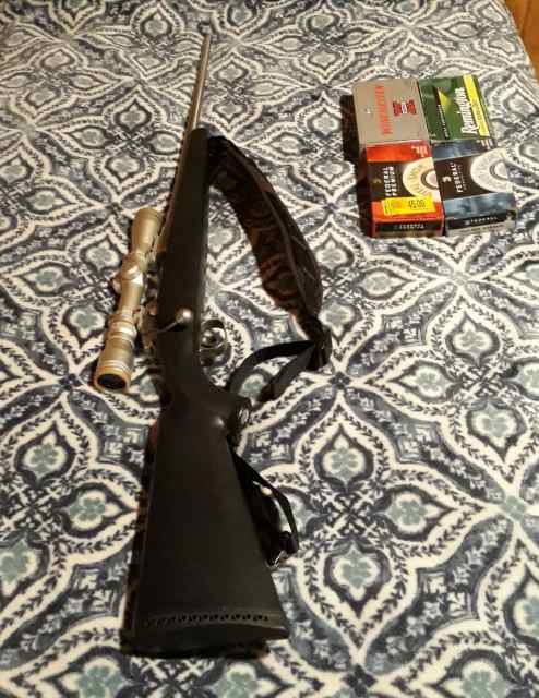 gun1.jpg