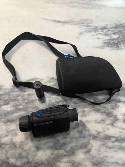 Pulsar Axion Thermal 