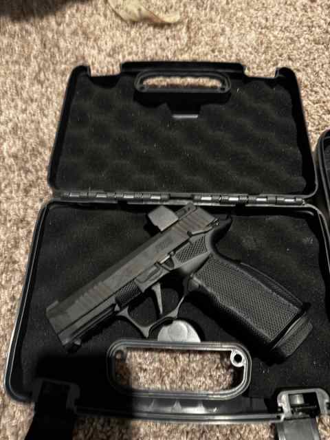 Sig p365xl metal Icarus with Romeo zero
