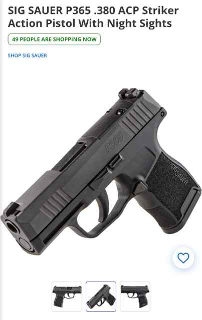 WTB Sig P365 380