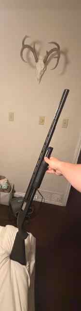 IMG_9208.jpeg