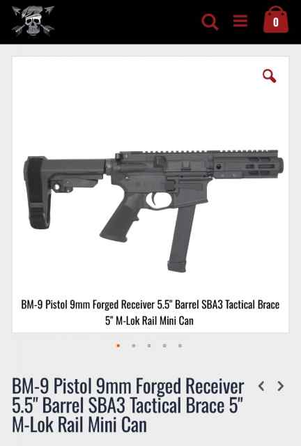 AR-9 Brigade BM-9 9MM (Glock Mags)