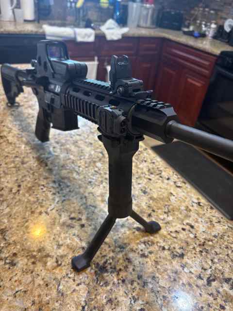 AR 15 with EOTECH sight
