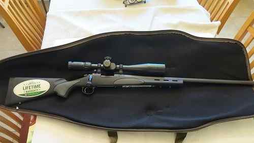 Remington 700 in 223 - custom Remington action