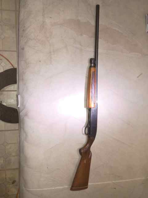 Shotgun 20 gauge