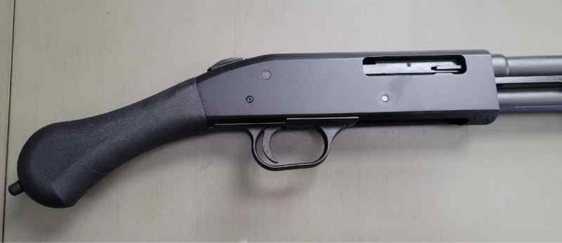 stock and trigger.JPG