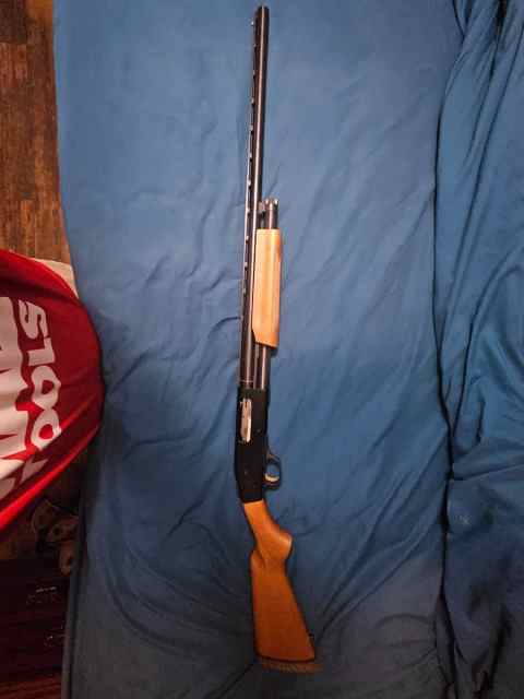 Mossberg 535 pump shotgun