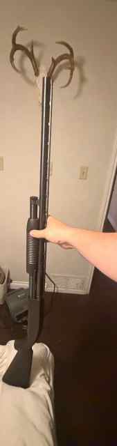 IMG_9209.jpeg